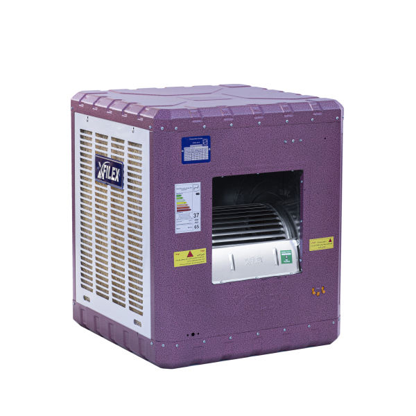 فیلکس استار